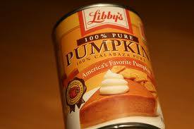 pumpkin